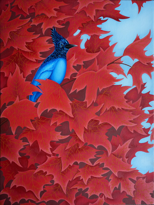 Red Maple Blue Jay